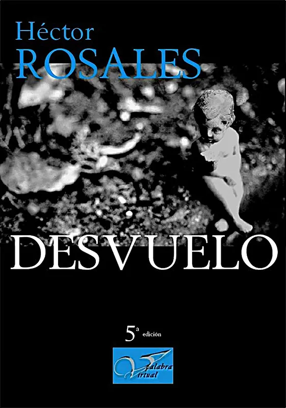 Desvuelo
